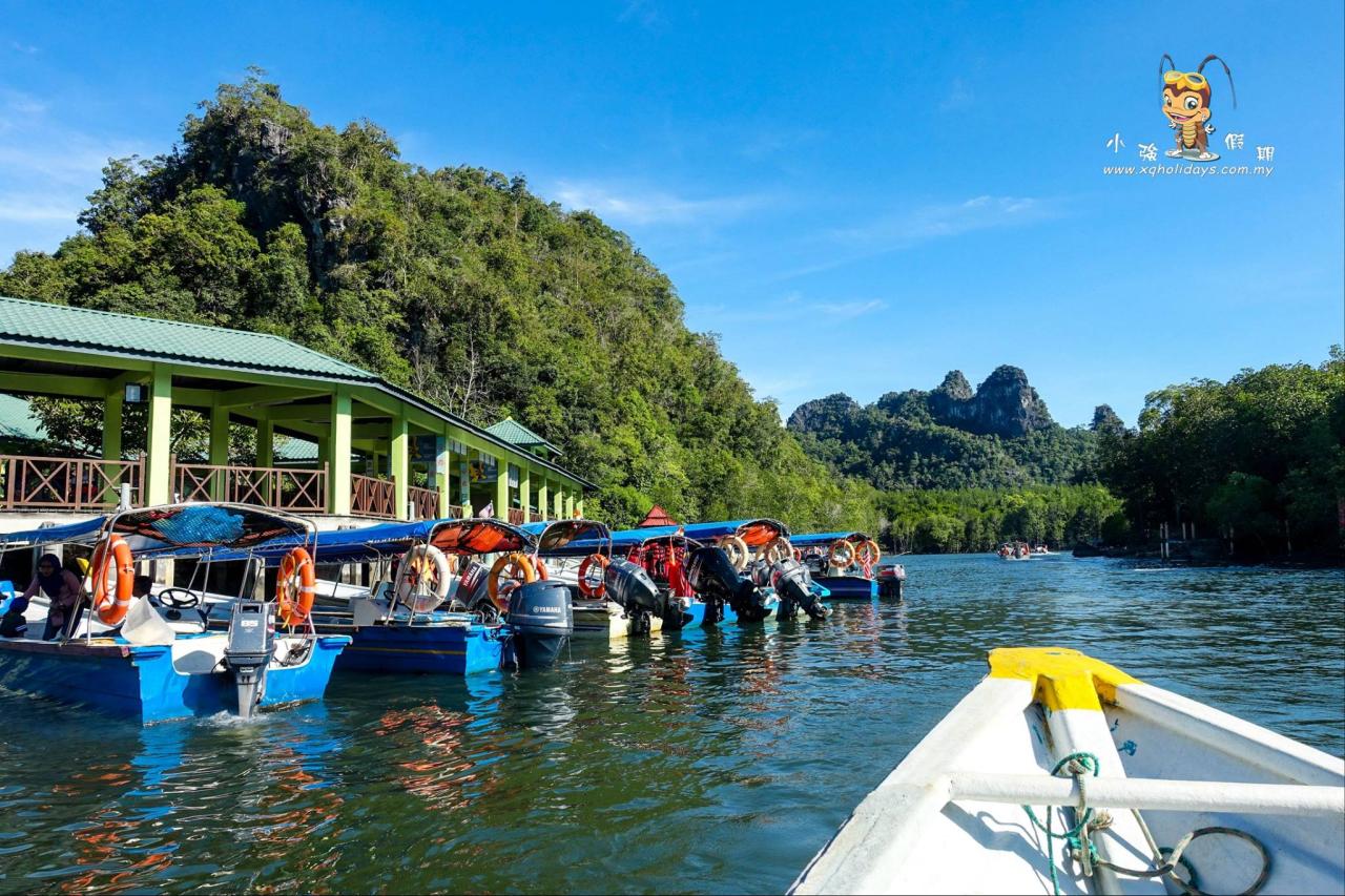 Jelajahi Ekosistem Unik Mangrove Langkawi